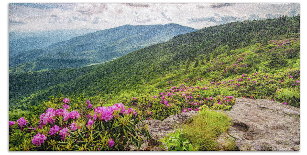 Spring Beach Towel featuring the photograph Appalachian Trail NC TN Grassy Ridge Rhododendron Bloom by Robert Stephens