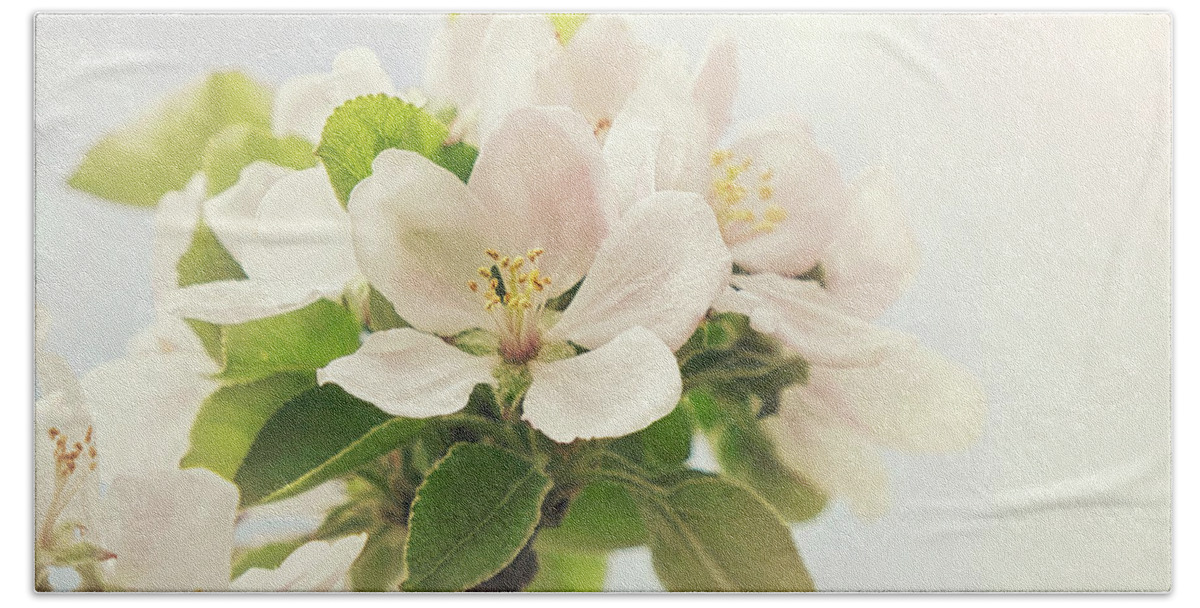 Apple Beach Towel featuring the photograph Apple blossom retro style processing by Jane Rix
