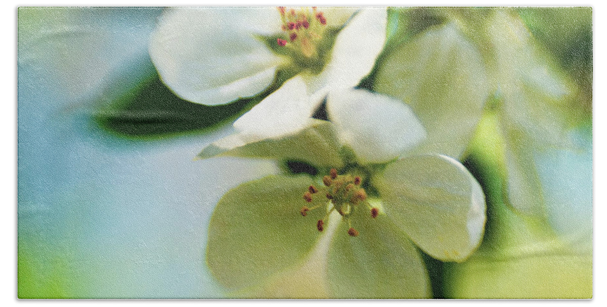 Apple Blossom Beach Towel featuring the photograph Apple Blossom Time 2 by Pamela Taylor
