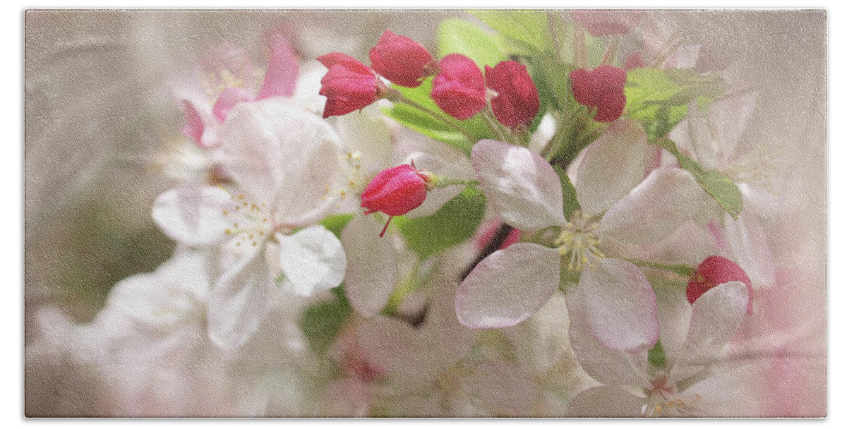 Apple Buds Beach Sheet featuring the photograph Apple Buds by Evelyn Tambour