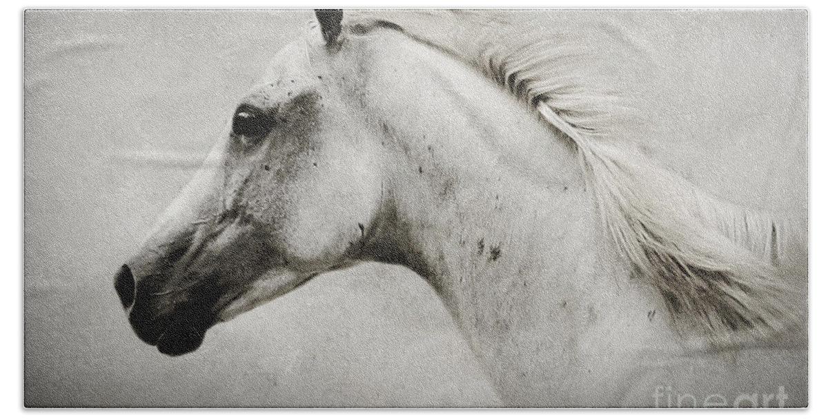 Horse Beach Towel featuring the photograph Arabian white horse portrait by Dimitar Hristov