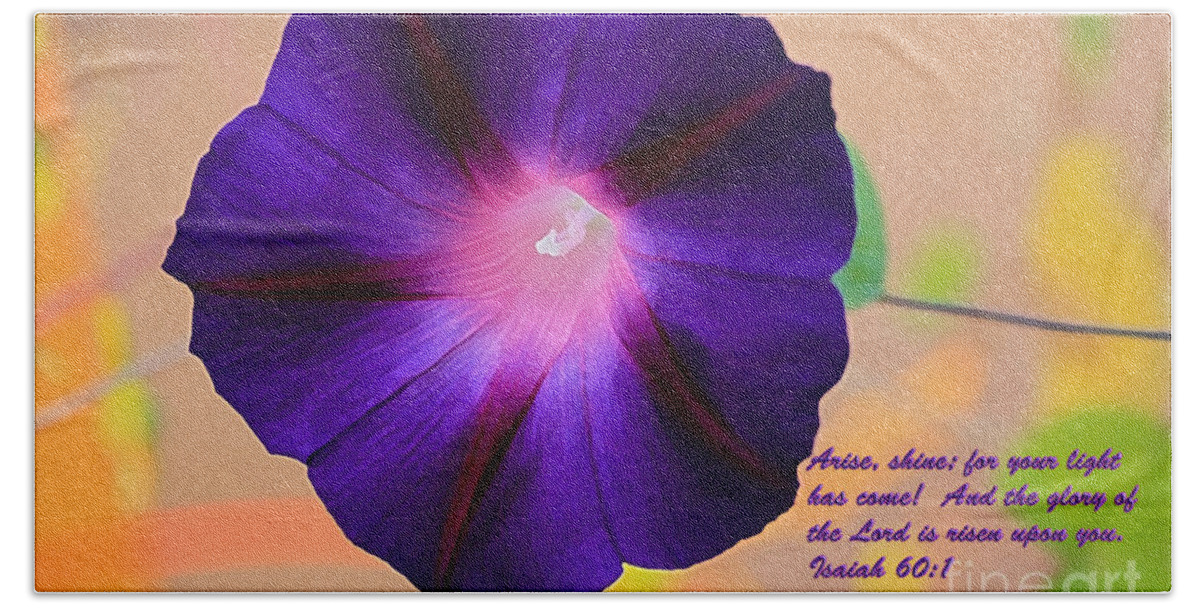 Morning Glories Beach Towel featuring the photograph Arise by Barbara Dean
