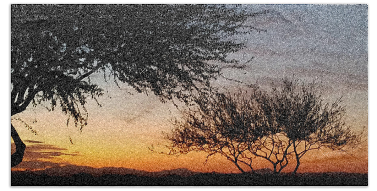 Arizona Beach Towel featuring the photograph Arizona Sunset by Vic Ritchey