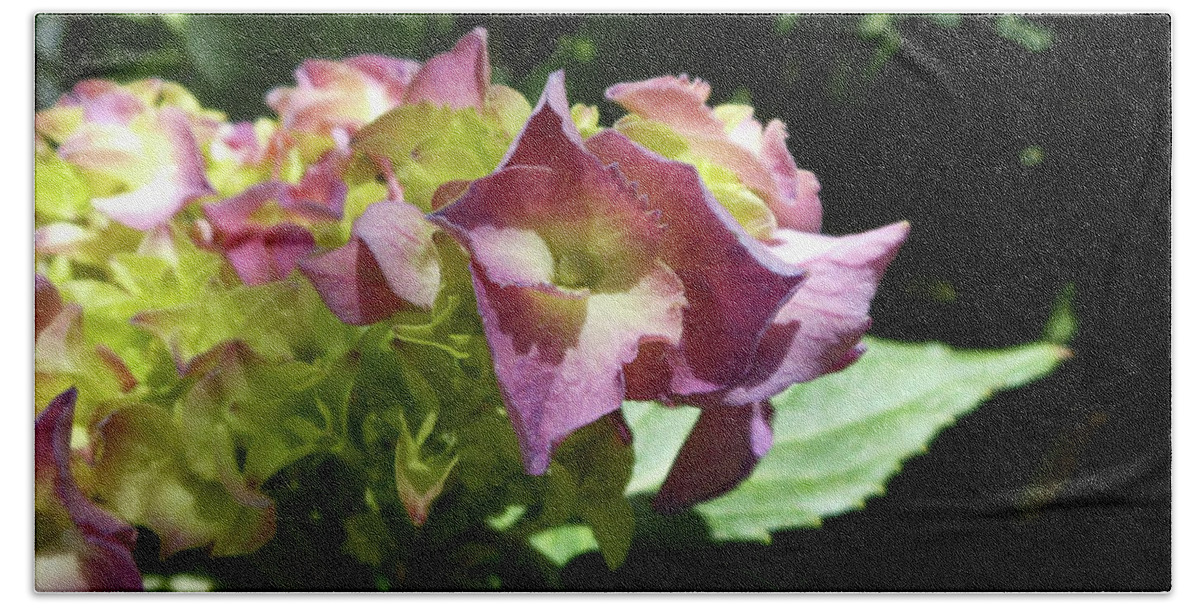 Pink Hydrangeas Beach Sheet featuring the photograph Hydrangea Flowers Fit For A Fairy by Kristin Aquariann