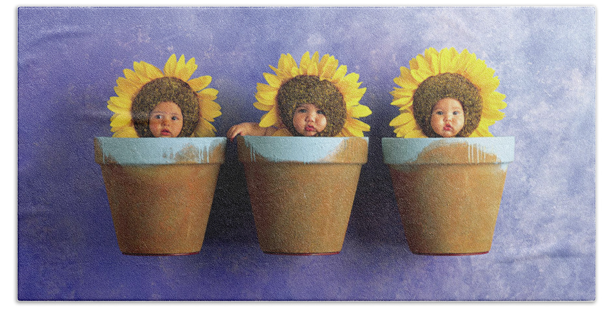 Sunflower Beach Towel featuring the photograph Sunflower Pots by Anne Geddes