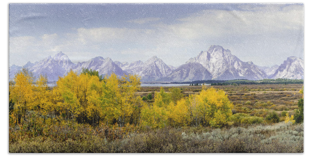 Aspen Beach Towel featuring the photograph Aspen Gold in the Tetons by Greni Graph