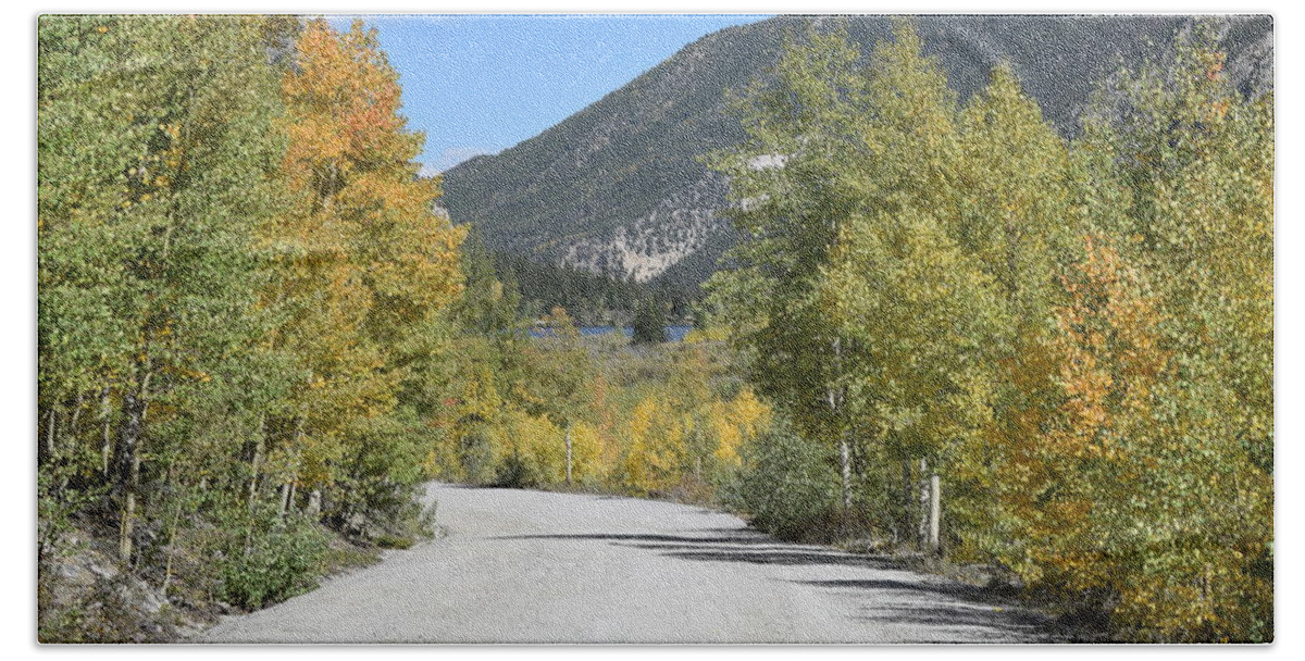 Aspen_line_road Beach Towel featuring the photograph Aspen Lined Road by Margarethe Binkley