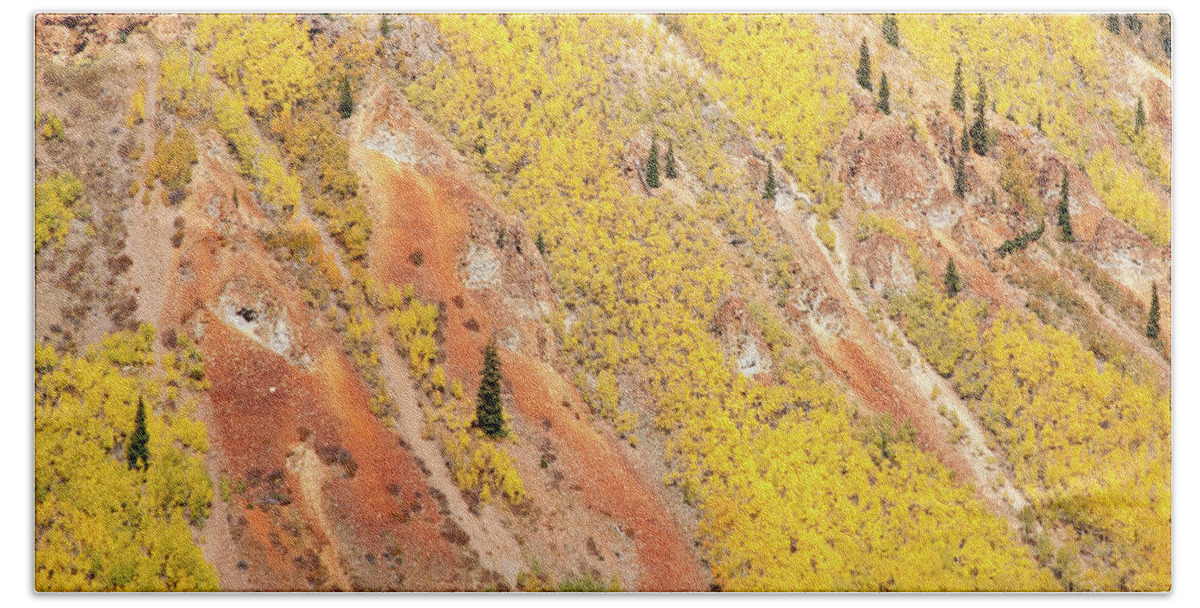 Colorado Beach Towel featuring the photograph Aspen Mountainside by Steve Stuller