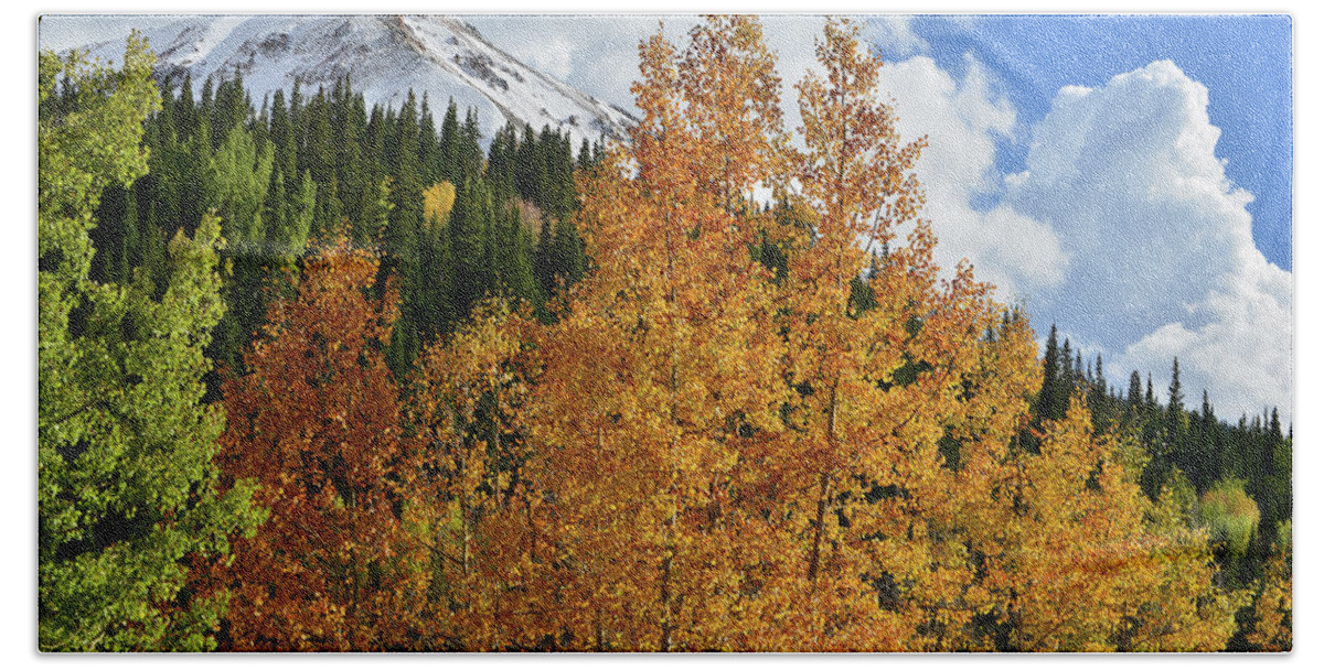 Colorado Beach Towel featuring the photograph Aspens, Clouds and Red Mountain by Ray Mathis
