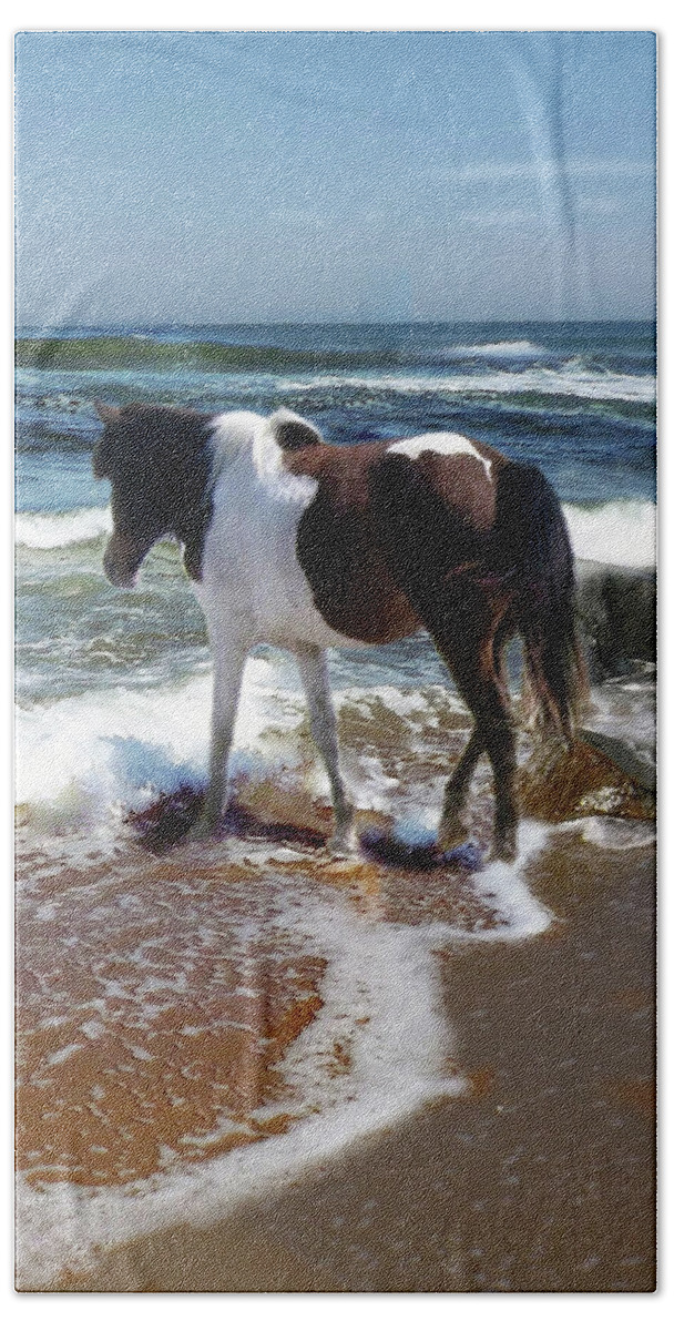 Assateague Beach Towel featuring the photograph Assateague Pony by Joyce Wasser
