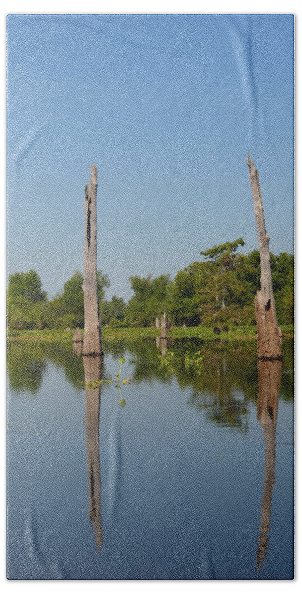 Tree Beach Towel featuring the photograph Atchafalaya Basin 19 Southern Louisiana by Maggy Marsh
