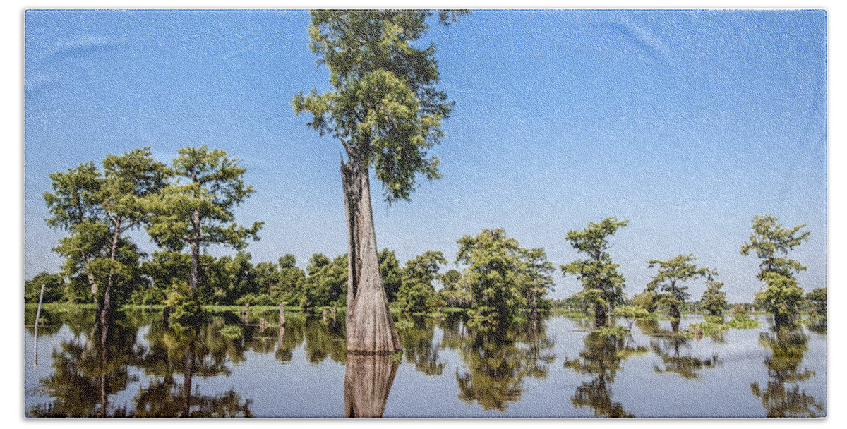 3 Nd Nature Beach Sheet featuring the photograph Atchafalaya Cypress Tree by Gregory Daley MPSA