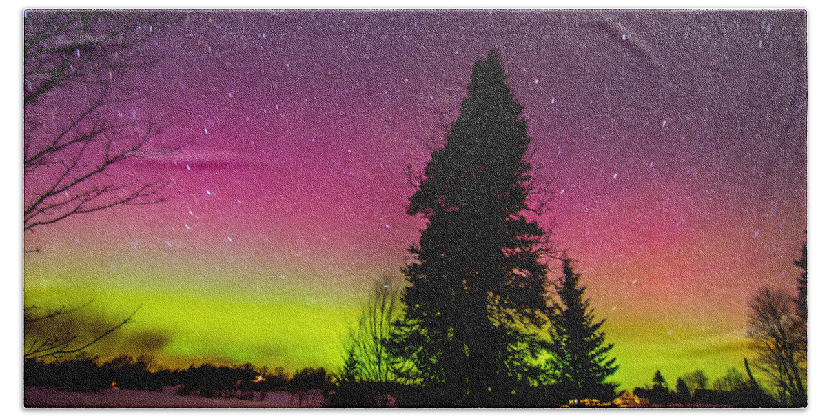 Aurora Beach Towel featuring the photograph Aurora with Spruce Tree by Tim Kirchoff