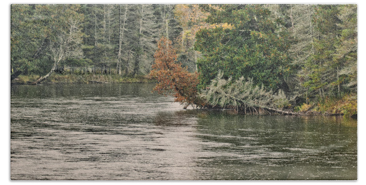 Ausable Beach Sheet featuring the photograph AuSable river 9899 by Michael Peychich