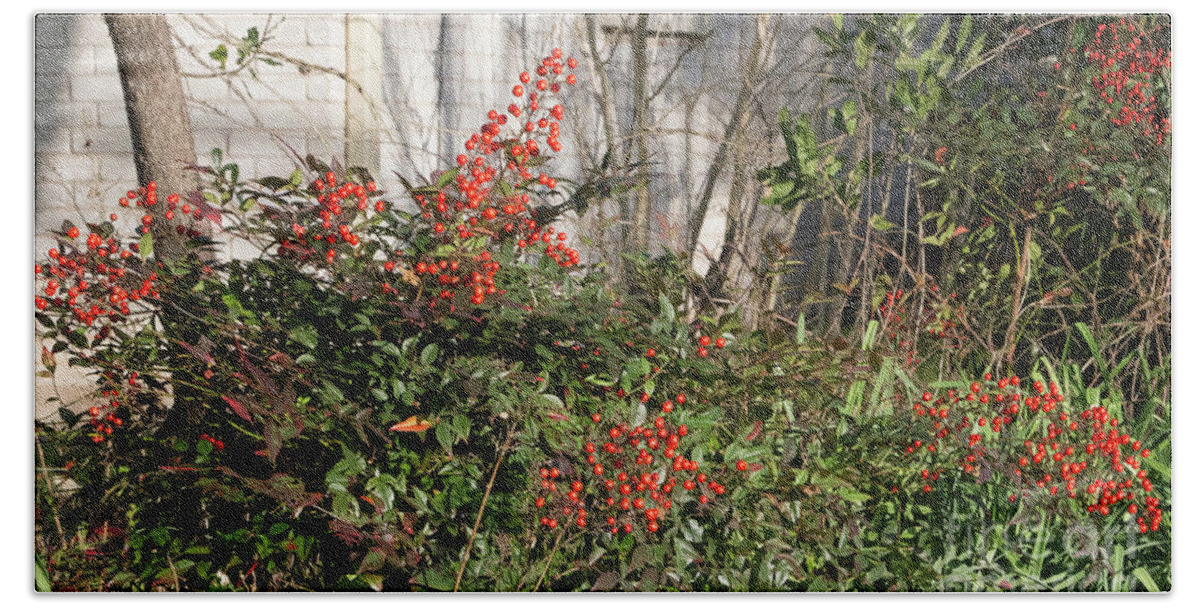 Berries Beach Sheet featuring the photograph Austin Winter Berries by Linda Phelps