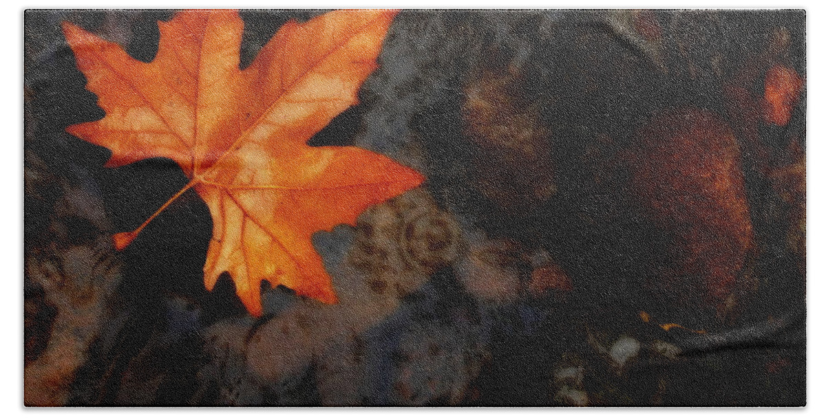 Autumn Leaf In River With Rocks Beach Towel featuring the photograph Autumn in the Rain by Lexa Harpell