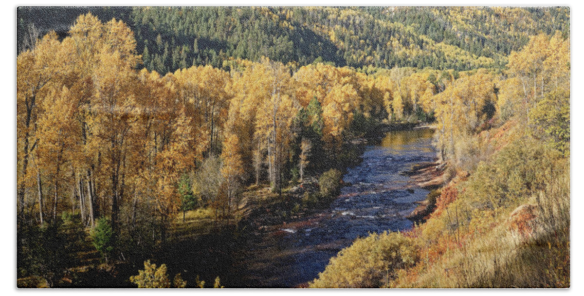 Aspens Beach Towel featuring the photograph Autumn Along the River I by Leda Robertson