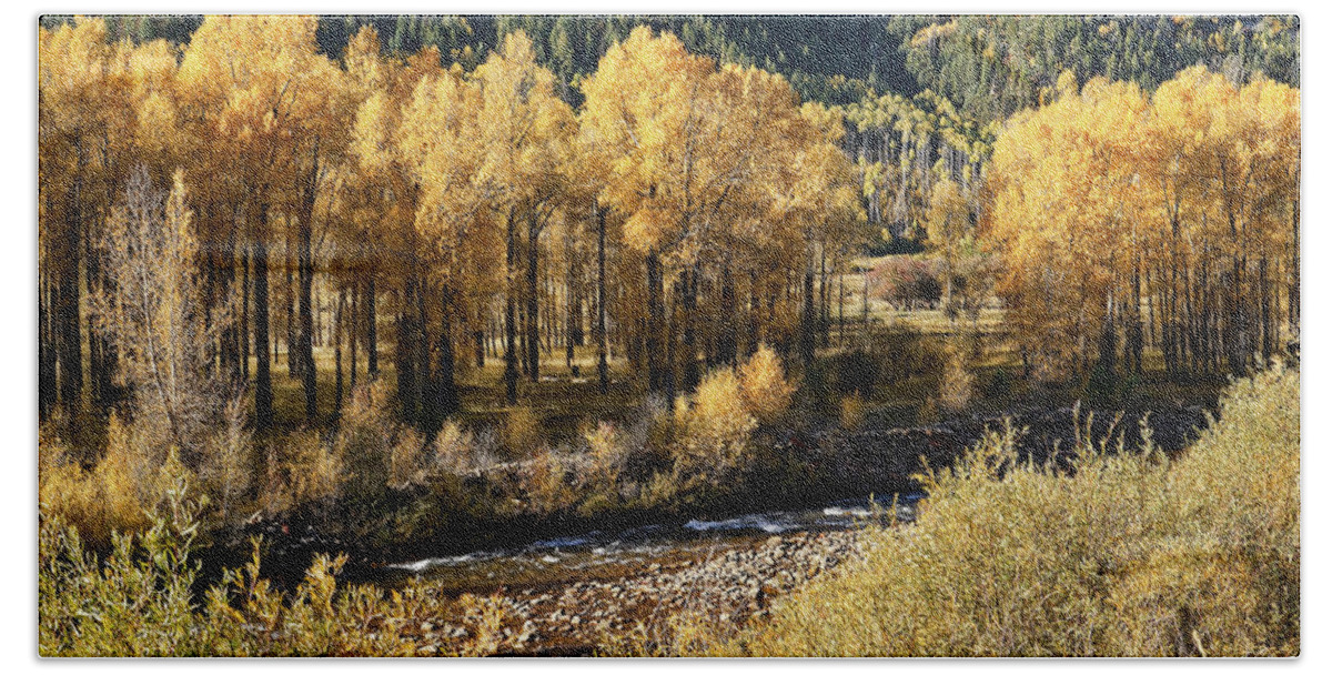 Aspens Beach Towel featuring the photograph Autumn Along the River III by Leda Robertson