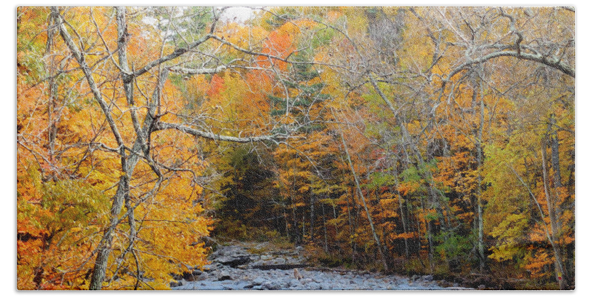 Autumn Creek Beach Towel featuring the painting Autumn creek 10 by Jeelan Clark
