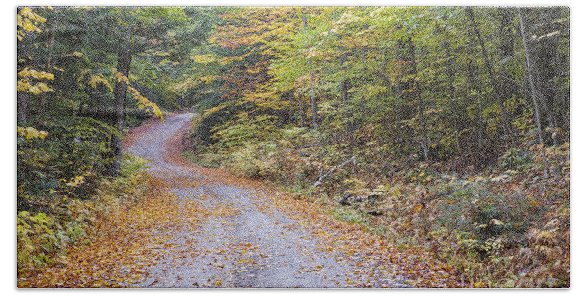 1800s Beach Towel featuring the photograph Autumn Foliage - Sandwich Notch Road New Hampshire by Erin Paul Donovan