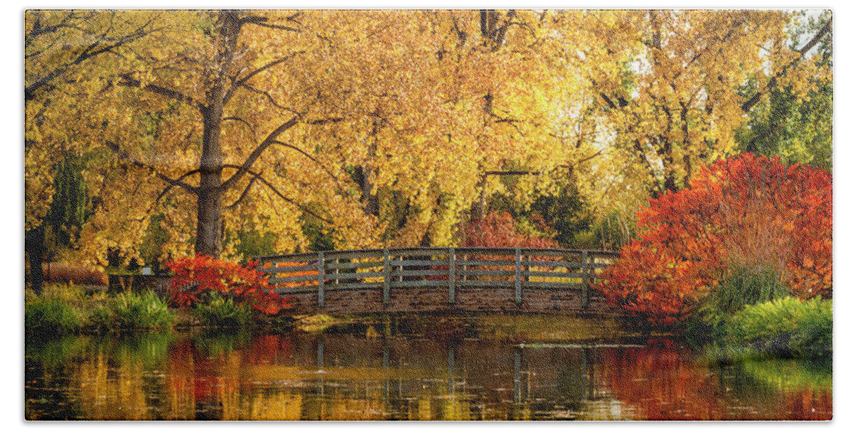 Hudson Gardens Beach Towel featuring the photograph Autumn in the Park by Teri Virbickis