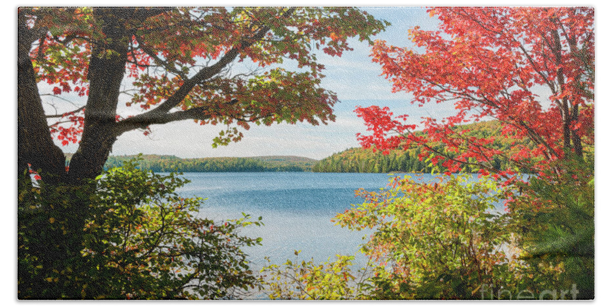 Fall Beach Sheet featuring the photograph Autumn lake by Elena Elisseeva