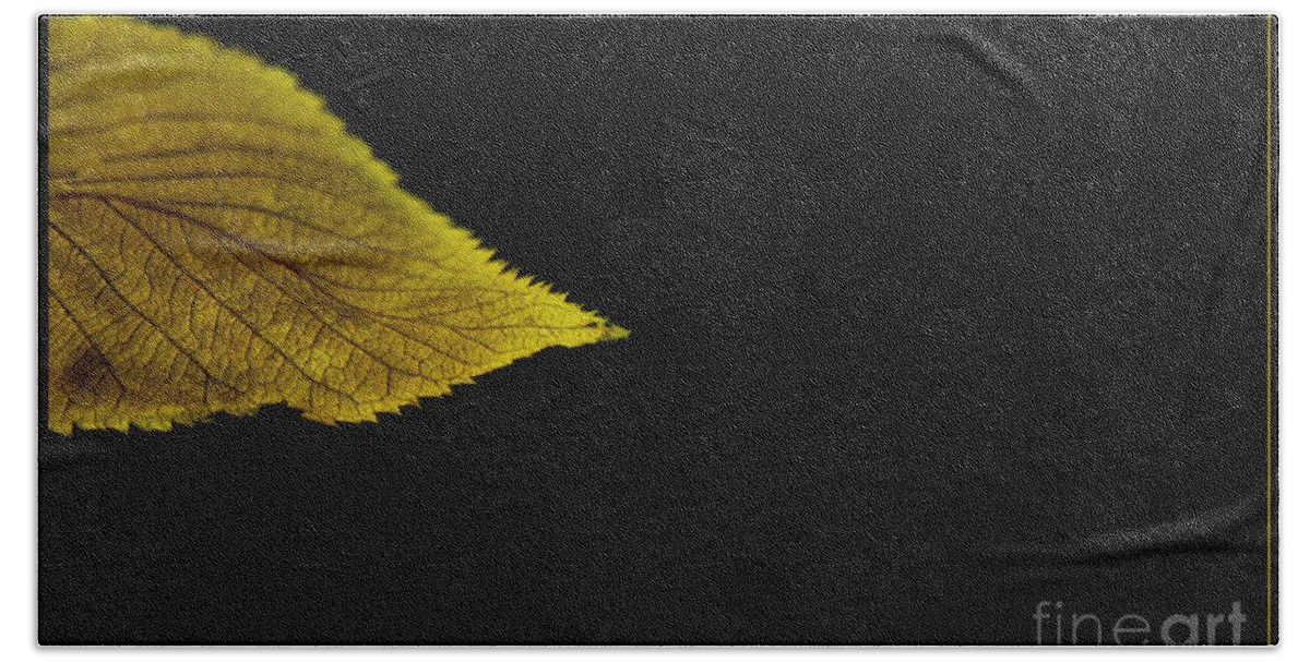 Yellow Beach Sheet featuring the photograph Autumn Leaf by Eena Bo