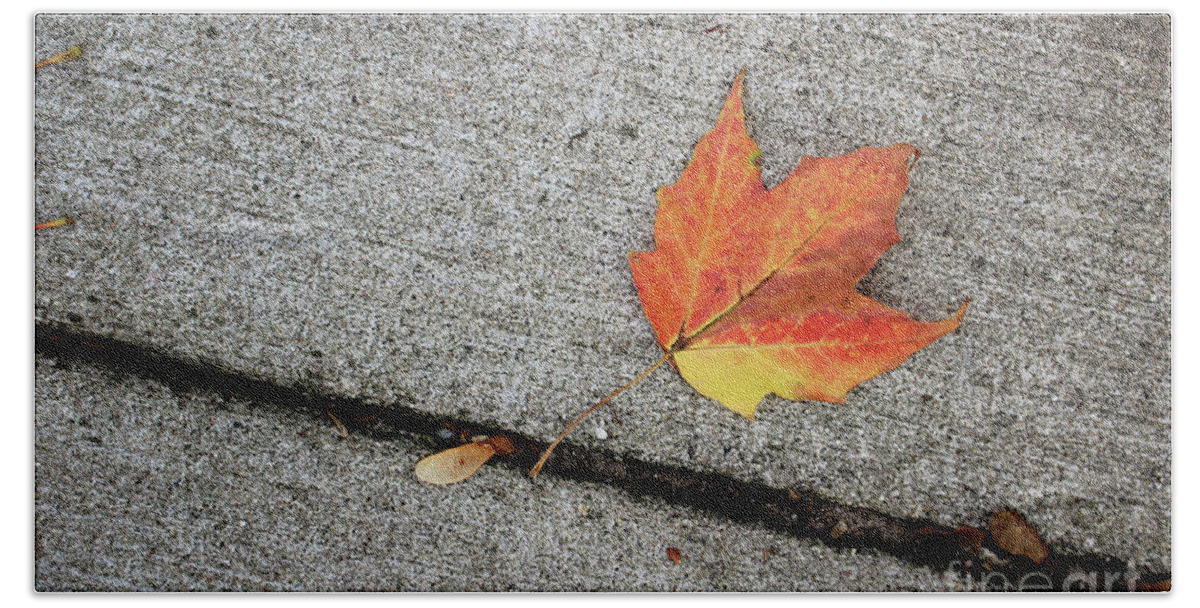 Autumn Beach Sheet featuring the photograph Autumn Leaf by Laura Kinker