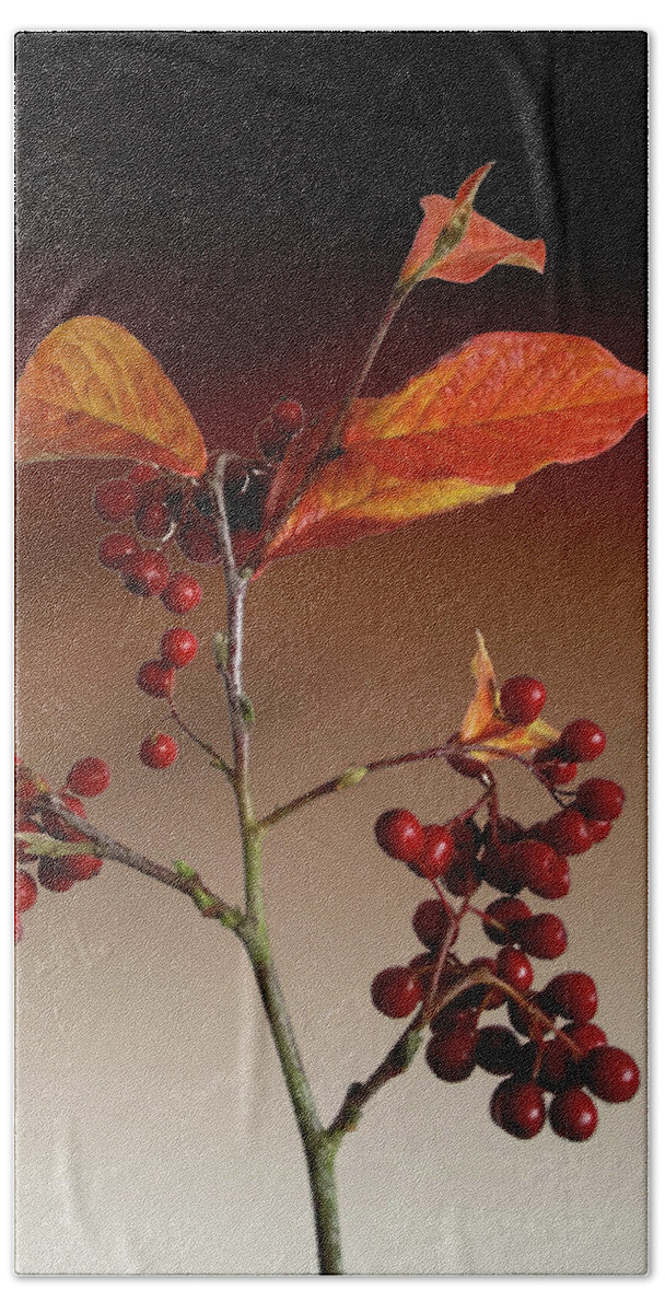 Leafs Beach Sheet featuring the photograph Autumn leafs and red berries by David French