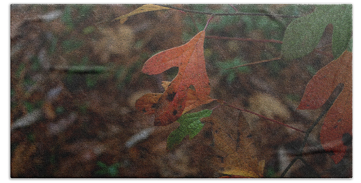 Autumn Beach Sheet featuring the photograph Autumn Leaves by Cathy Harper