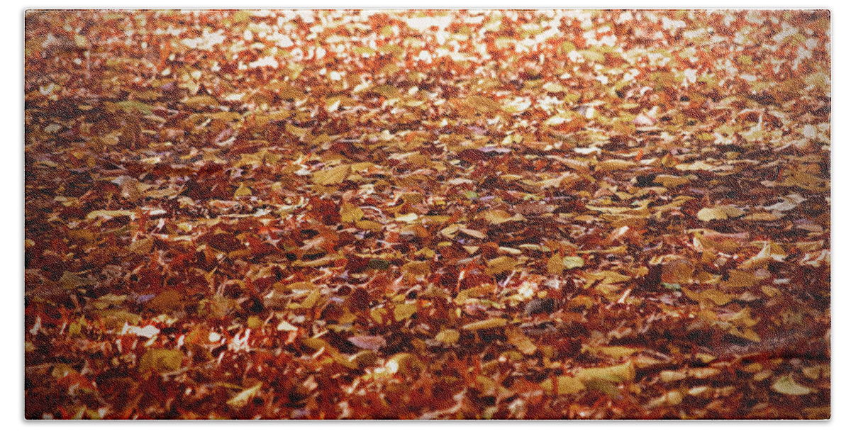 Autumn Leaves Beach Towel featuring the photograph Autumn leaves by Sandy Taylor