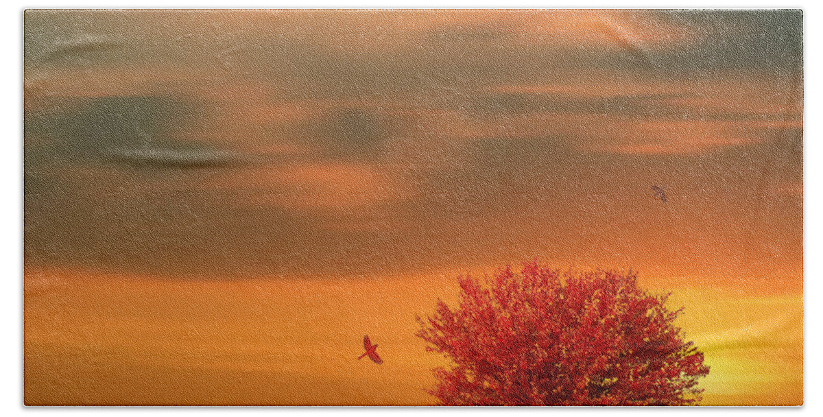 Four Seasons Beach Towel featuring the photograph Autumn by Lourry Legarde