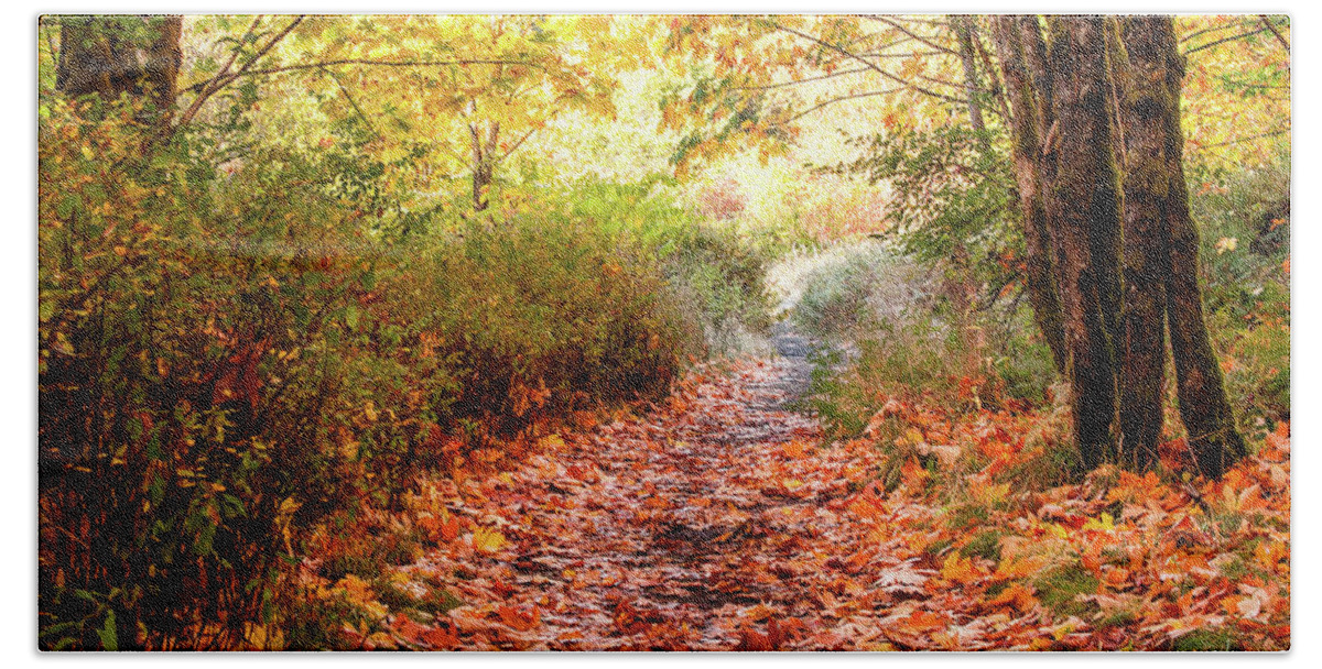 Landscapes Beach Towel featuring the photograph Autumn Morning by Claude Dalley