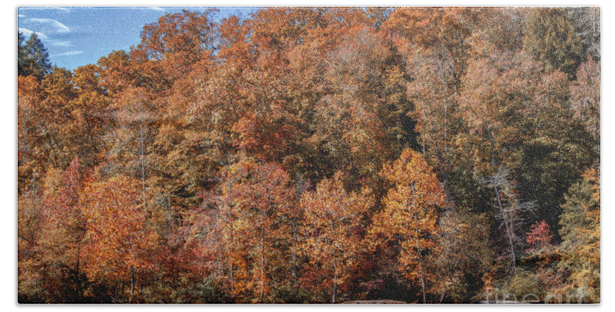 Kentucky Beach Sheet featuring the photograph Autumn on the Cumberland Foliage by Ken Frischkorn