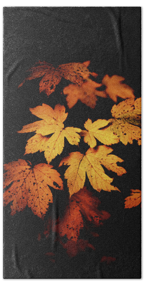 Autumn Beach Sheet featuring the photograph Autumn Photo by Philippe Sainte-Laudy