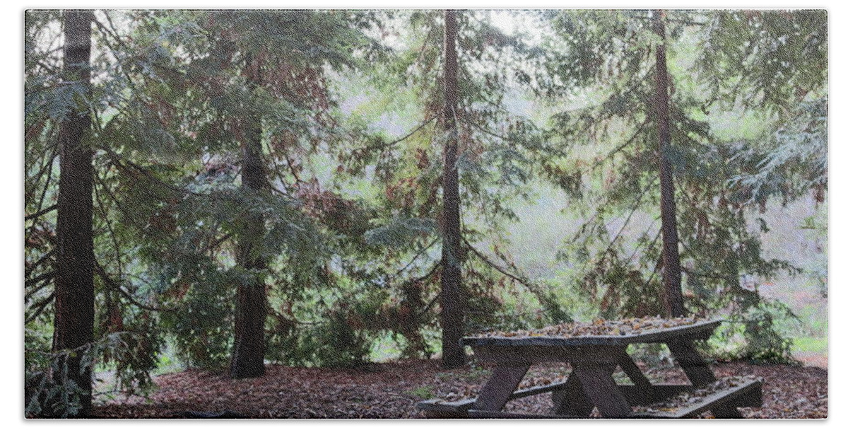 Woods Beach Sheet featuring the photograph Autumn Picnic in the woods by Christy Pooschke