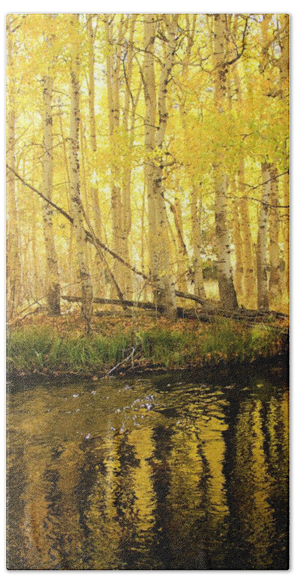 Rush Creek Beach Sheet featuring the photograph Autumn Liquid Gold by Sean Sarsfield