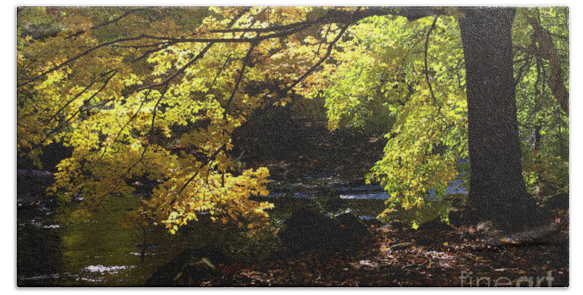 Autumn Beach Towel featuring the pyrography Autumn Stream by Tom Brickhouse