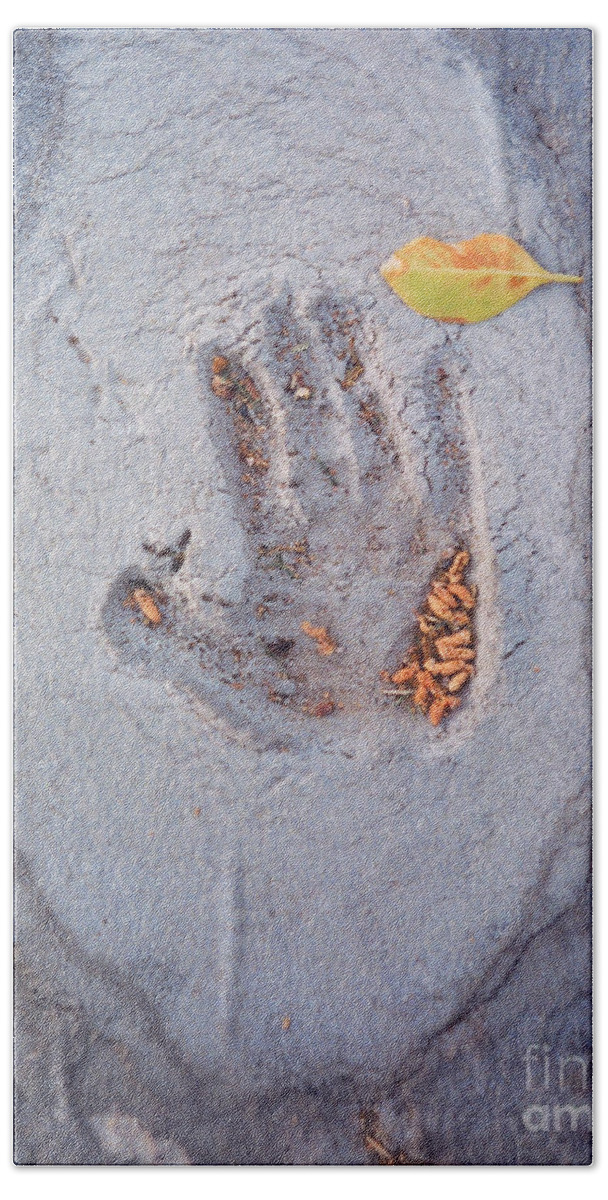  Beach Sheet featuring the photograph Autumns Child or Hand in Concrete by Heather Kirk