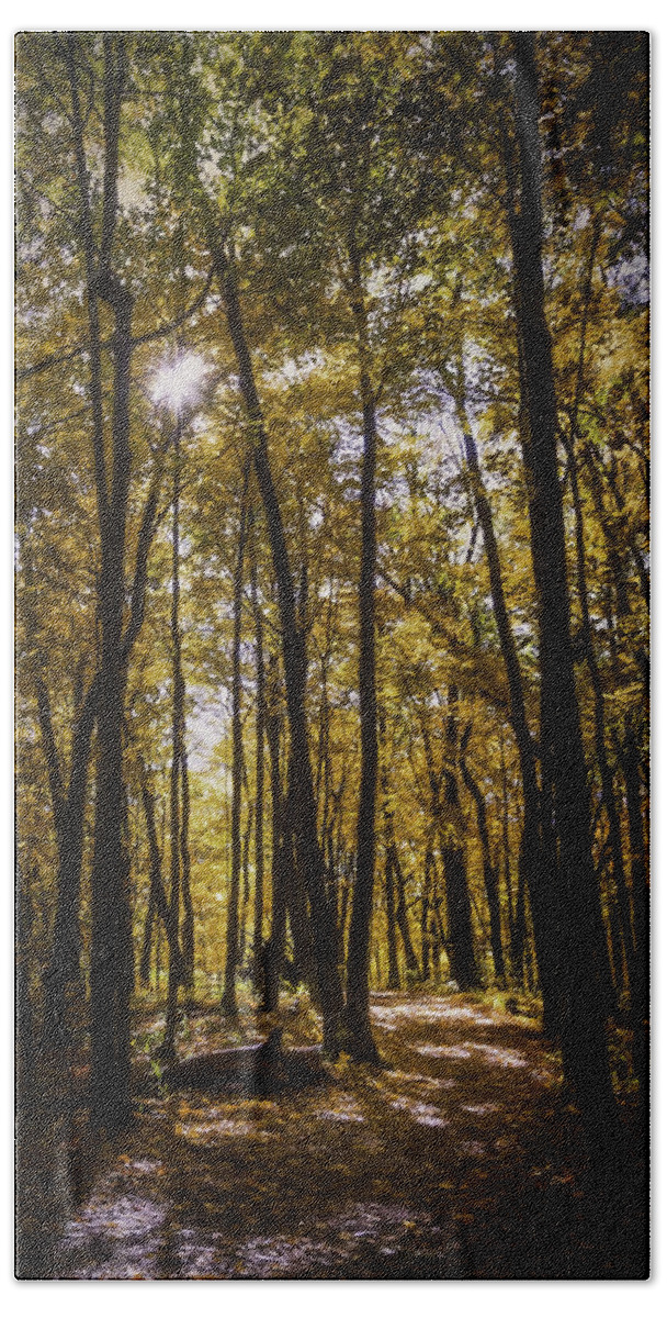 Autumn Beach Sheet featuring the photograph Autumns Fire by Scott Norris