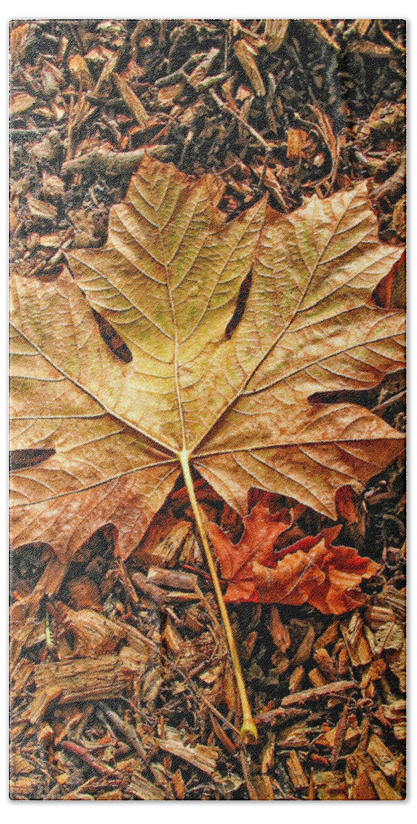 Leaf Beach Towel featuring the photograph Autumn's Textured Maple Leaf by Jennie Marie Schell