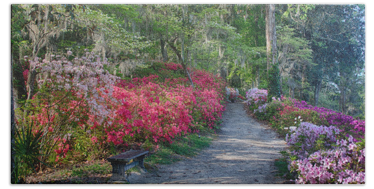 Middleton Place Beach Towel featuring the photograph Azalea Path by Patricia Schaefer