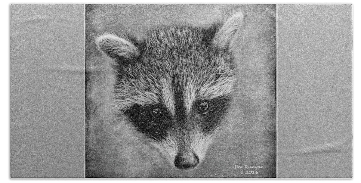 Raccoon Beach Towel featuring the photograph Baby Face by Peg Runyan