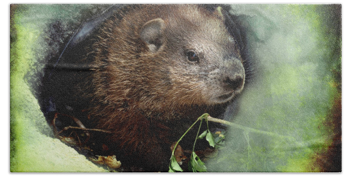 Animal Beach Towel featuring the photograph Baby Groundhog Peeking Out by Elaine Manley