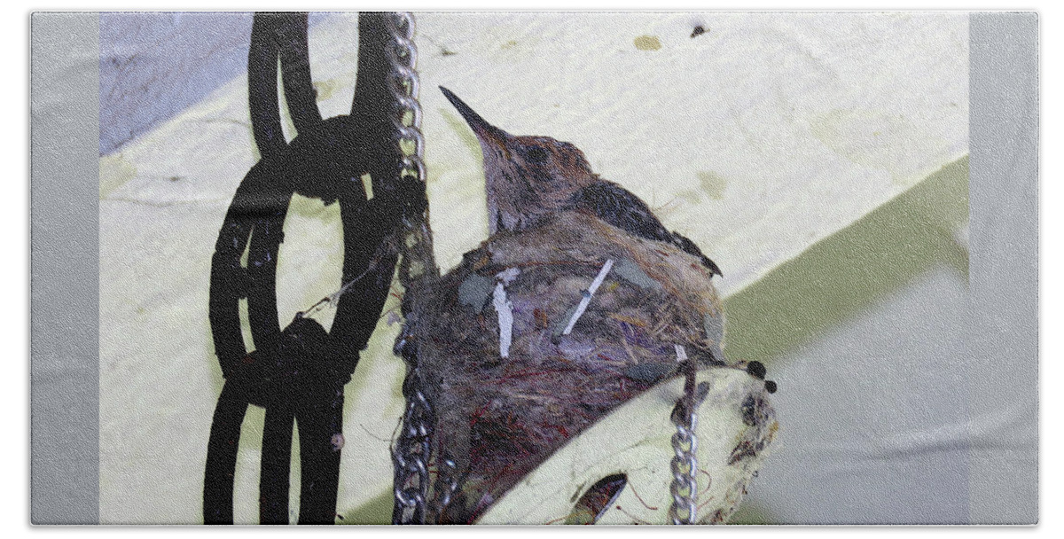 Hummingbirds Beach Towel featuring the photograph Baby Hummers 5 by Helaine Cummins