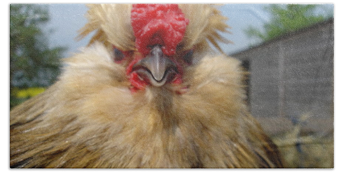 Rooster Beach Sheet featuring the photograph Bad tempered bearded bantam by Susan Baker