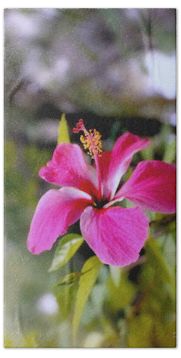 Flowers Beach Sheet featuring the photograph Bahamian Flower by Deborah Crew-Johnson