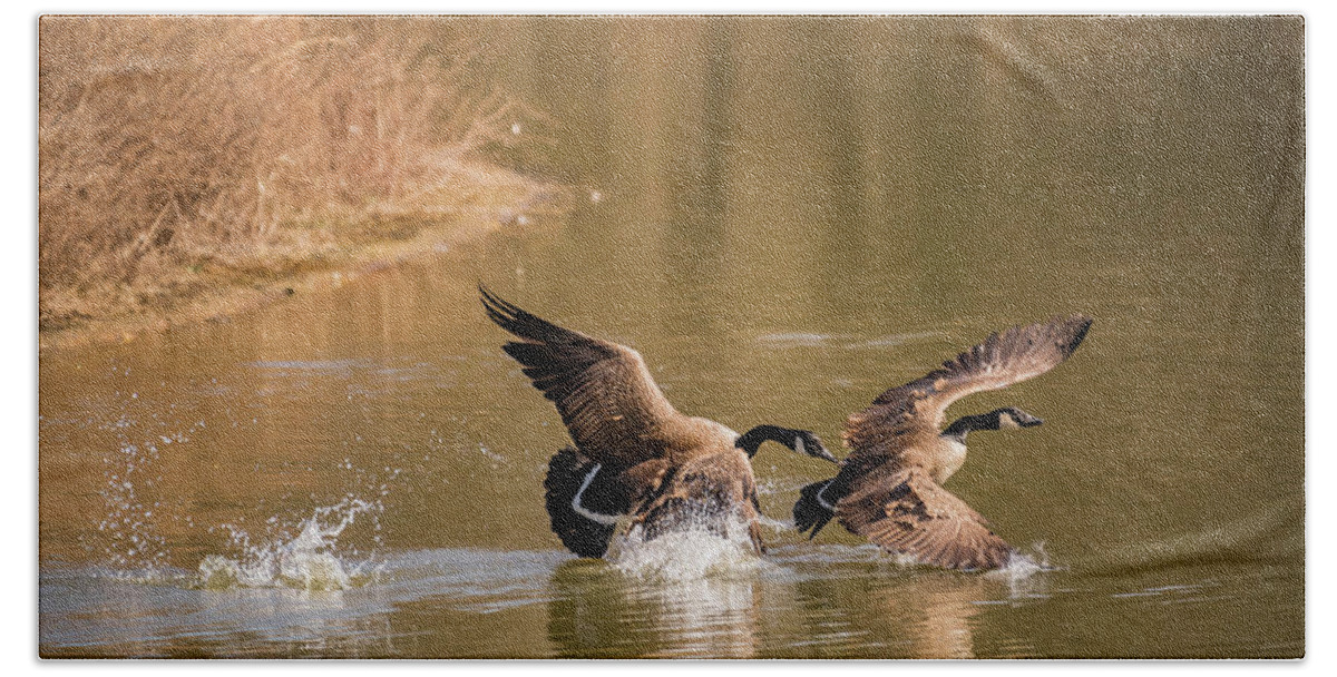 Geese Beach Towel featuring the photograph Balance in Motion by Bruce Pritchett