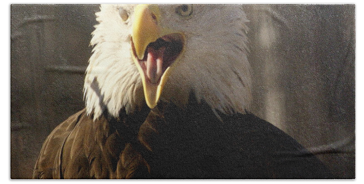 Birds Beach Towel featuring the photograph Bald Eagle 4 by Marty Koch