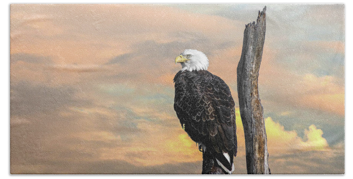 Usa Beach Towel featuring the photograph Bald Eagle Inspiration by Patrick Wolf